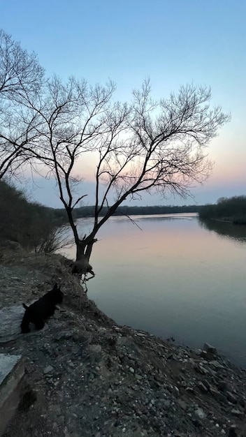 dopo il tramonto sul fiume