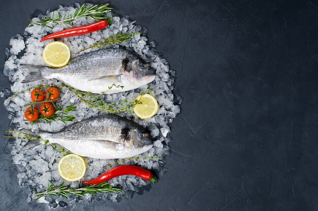 Dorado pesce crudo su ghiaccio, ingrediente rosmarino, limone, pomodori, peperoncino.