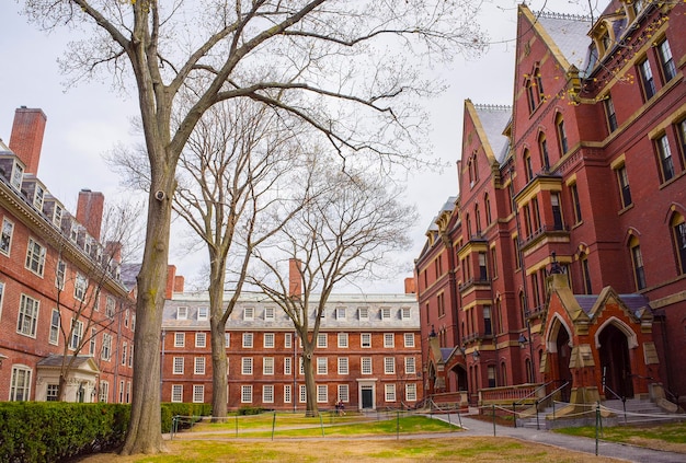 Dormitori e Harvard Computer Society Building nell'Harvard Yard dell'Università di Harvard a Cambridge, Massachusetts, MA, USA.