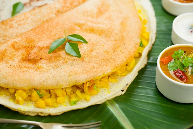 Dosa Masala dosafamoso articolo per la colazione dell'India meridionale realizzato in padella di ghisa in modo tradizionale e disposto su una foglia di banana fresca con sfondo verde scuro isolato