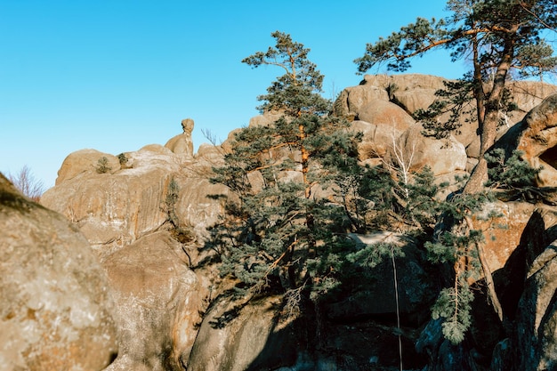 Dovbush Rocks Ucraina foto paesaggistiche di alberi autunnali senza foglie