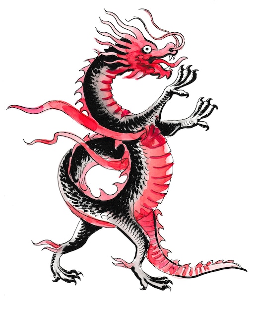 Drago cinese. Disegno a china e acquerello