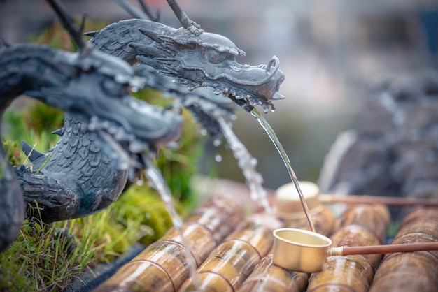 Drago di forma di acqua sorgiva nel villaggio di Oshino Hakkai