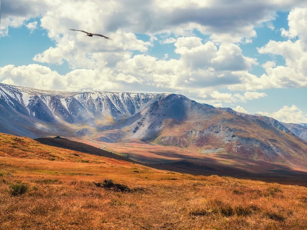 Drammatica luce dorata e ombra sulla roccia nella steppa autunnale. Altopiano d'alta quota di Yeshtykol. Monti Altai, Russia. Siberia.