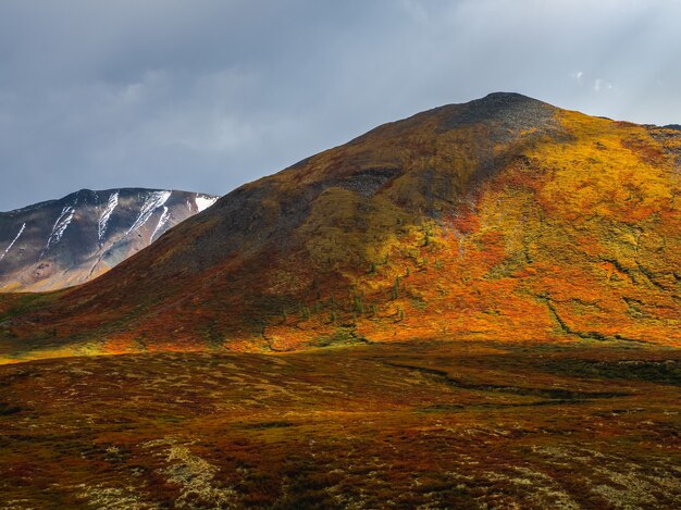 Drammatica luce dorata e ombra sulla roccia nella steppa autunnale. Altopiano d'alta quota di Yeshtykol. Monti Altai, Russia. Siberia.