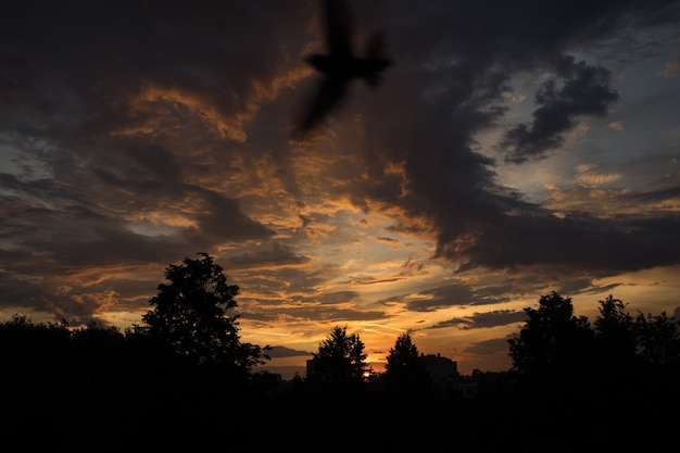 Drammatico cielo al tramonto con nuvole gialle