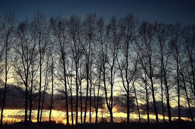 drammatico paesaggio autunnale campo cielo astratto concetto tristezza