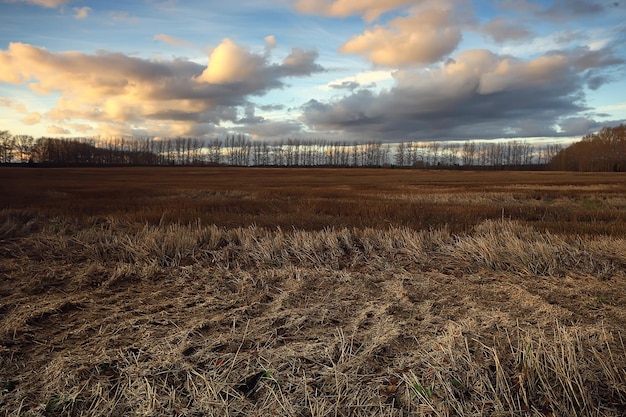 drammatico paesaggio autunnale campo cielo astratto concetto tristezza