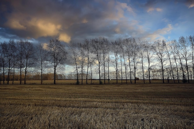 drammatico paesaggio autunnale campo cielo astratto concetto tristezza