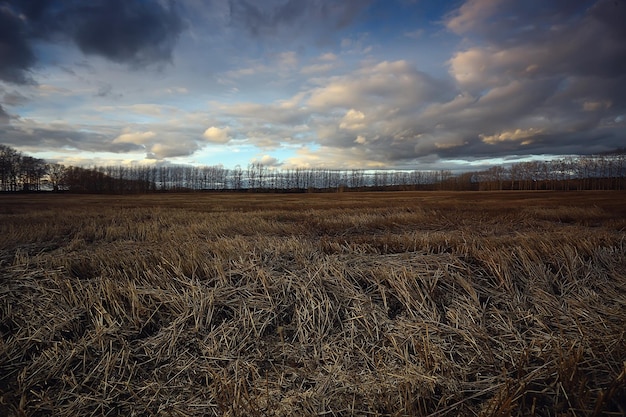 drammatico paesaggio autunnale campo cielo concetto astratto tristezza