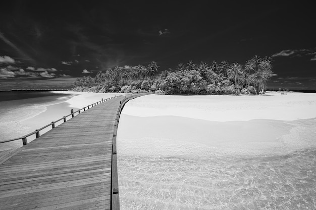 Drammatico paesaggio estivo della spiaggia dell'isola. Cielo scuro monocromatico, sabbia bianca, molo di legno in palme