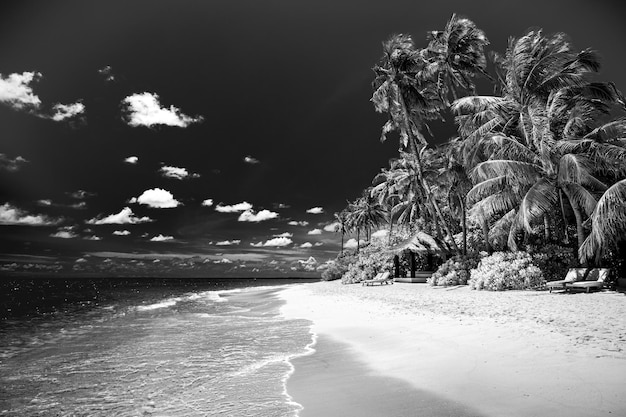 Drammatico paesaggio estivo sulla spiaggia Vacanza di lusso e concetto di vacanza viaggi estivi in bianco e nero