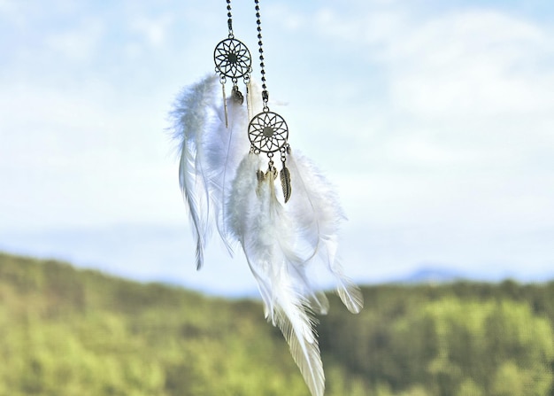 Dream Catcher