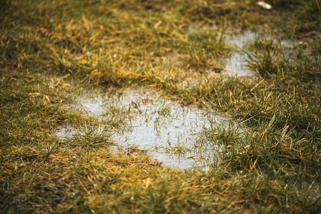 Drenaggio della pioggia e problemi di fognatura Il terreno idrofobo e asciutto assorbe a malapena l'acqua Acqua stagnante nel cortile