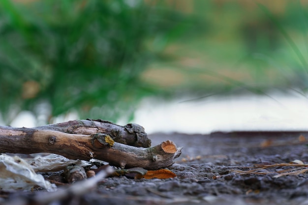 Driftwood sulla sponda del fiume. i bastoncini sono impilati in una pila vicino al fiume. viaggio