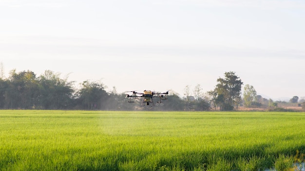 Drone agricolo che vola e spruzza fertilizzanti e pesticidi su terreni agricoli