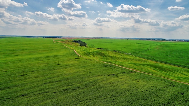 Drone con una macchina fotografica su un campo verde.