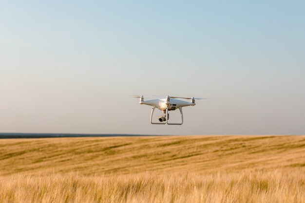 Drone quadcopter sul campo di mais verde