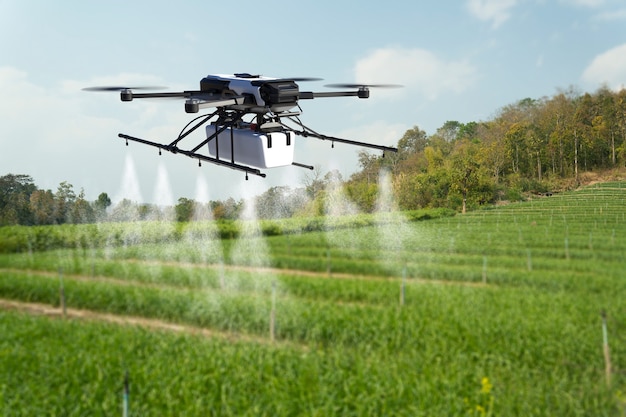 Drone spruzzando pesticidi sul campo di grano