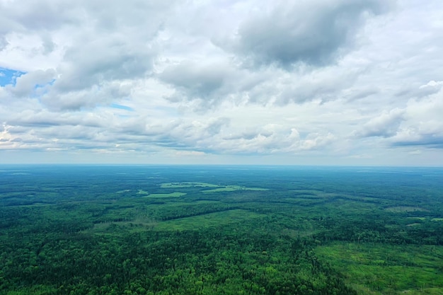 drone vista dall'alto della foresta estiva, sfondo verde alberi panorama paesaggio