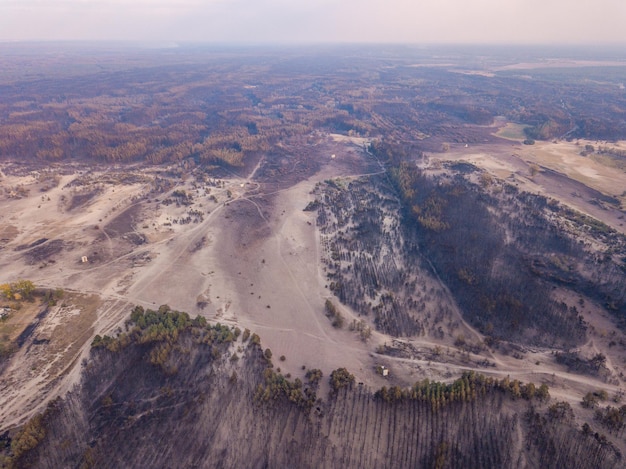 Drone vista della foresta bruciata dopo l'incendio