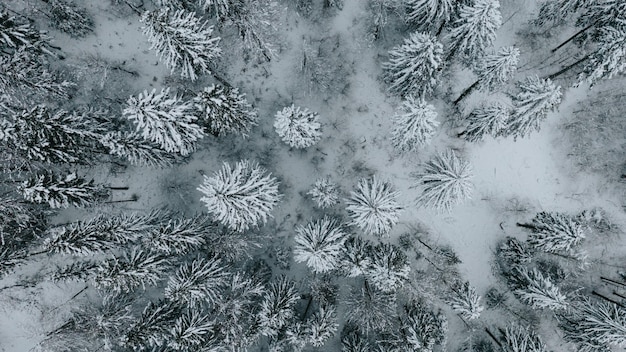 Drone vista della strada nella neve