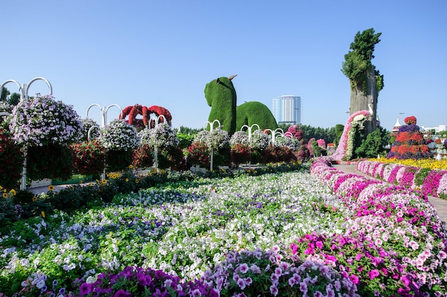 DUBAI UAE 28 MARZO Dubai Miracle Garden negli Emirati Arabi Uniti il 16 febbraio 2022 Ha oltre 45 milioni di fiori