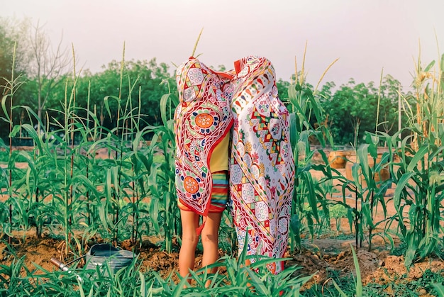 Due adorabili bambine nel campo di mais in una calda giornata