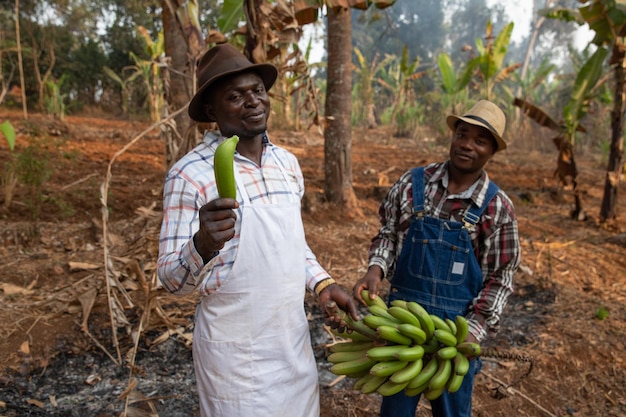 Due agricoltori africani in piantagioni di banane piantagioni coltivatore tiene in mano un mazzo di banane