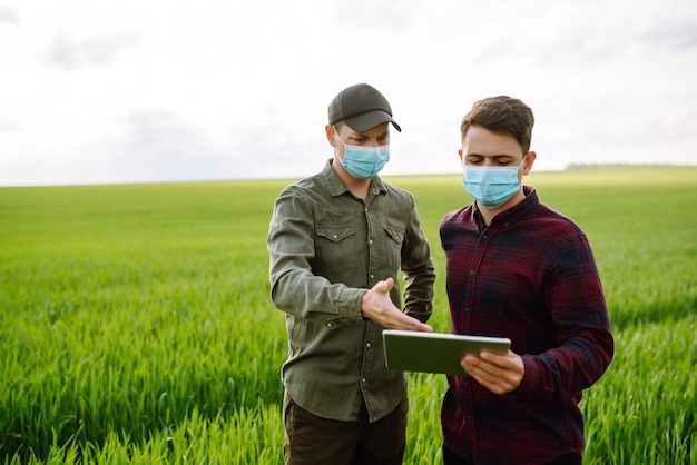 Due agricoltori in maschera di protezione con tablet sul campo Tecnologia agricola modernaAgricoltura intelligente