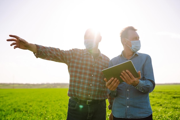 Due agricoltori in maschere mediche discutono di questioni agricole sul campo di grano verde Agro business Covid19.