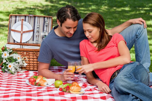 Due amici che toccano gli occhiali faccia a faccia durante un picnic