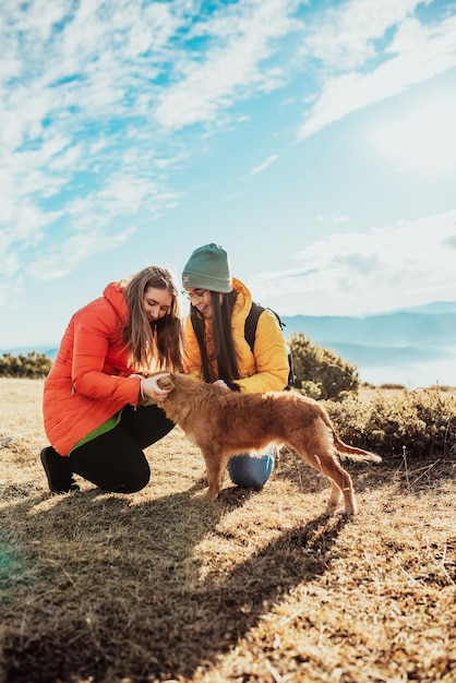 Due amici stanno giocando con un cane in natura