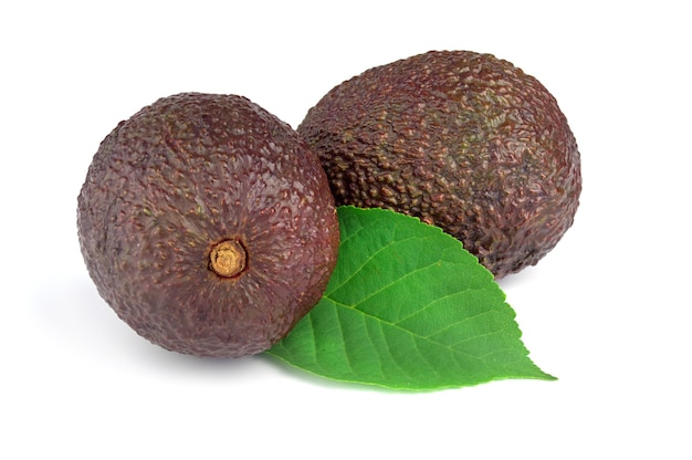 Due avocado isolati.