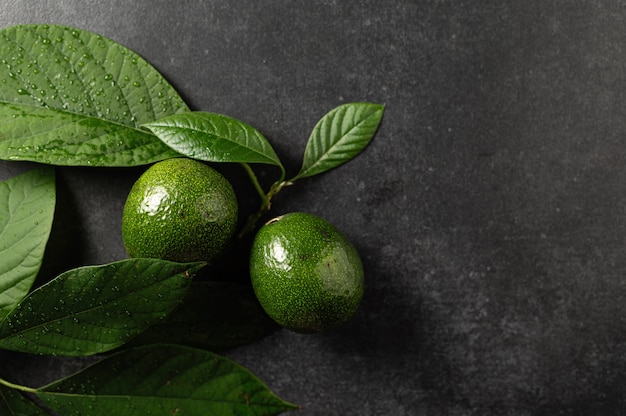 Due avocado maturi con foglie su uno sfondo di pietra grigia, vista dall'alto, spazio vuoto per il testo