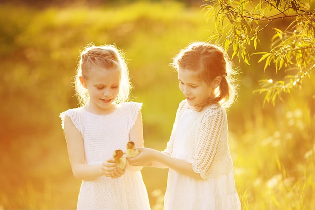 Due bambine al tramonto con adorabili anatroccoli