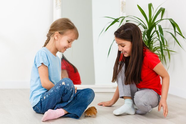 due bambine giocano con un criceto sul pavimento di casa