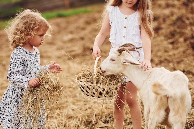 Due bambine insieme nella fattoria in estate che hanno un fine settimana con le capre