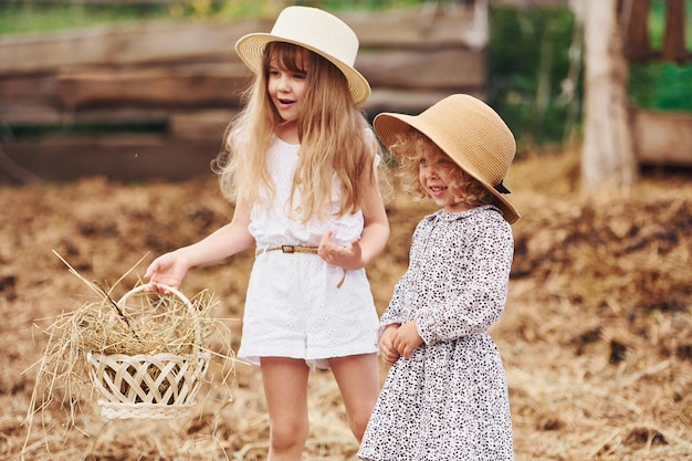 Due bambine insieme nella fattoria in estate durante il fine settimana