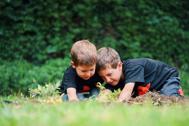 Due bambini che piantano in giardino