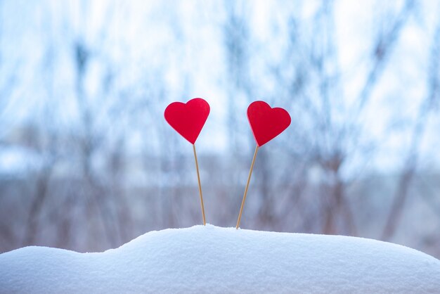 Due bellissimi cuori su uno sfondo invernale