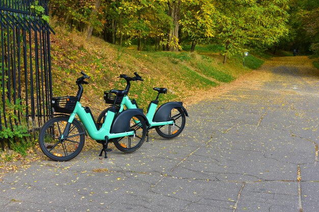 Due biciclette nere e verdi parcheggiate vicino a un cancello metallico Trasporto stradale Polonia Poznan