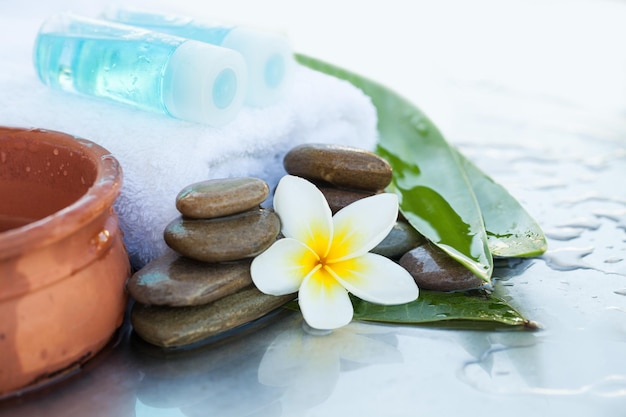 Due bottiglie con olio per massaggi Concetto di spa con fiori e foglie