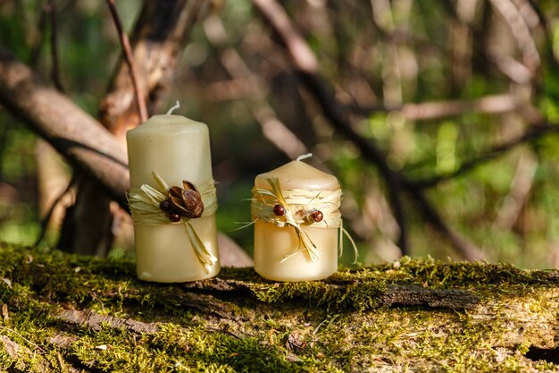 due candele, due candele su un vecchio tronco nella foresta.