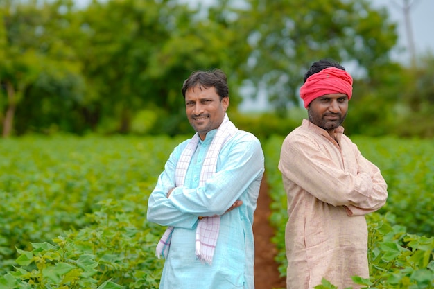 Due coltivatori indiani che stanno al campo di agricoltura del cotone.