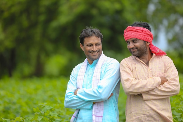 Due coltivatori indiani che stanno al campo di agricoltura del cotone.