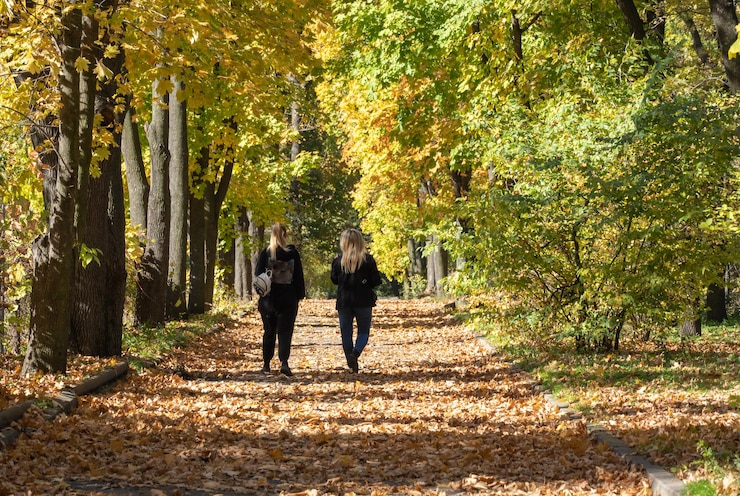 Foto due donne camminano nel parco autunnale lungo un sentiero di tronchi di alberi con foglie gialle foglie cadute