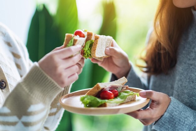 Due donne che tengono e mangiano insieme il panino integrale nel piatto di legno