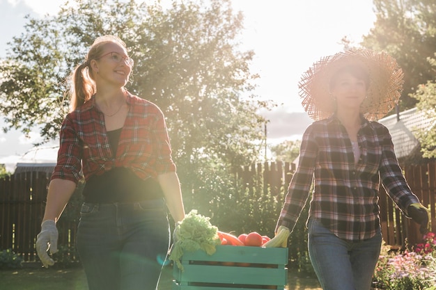 Due donne contadine che lavorano nel giardinaggio giardiniere che trasporta cassa con verdure appena raccolte in g