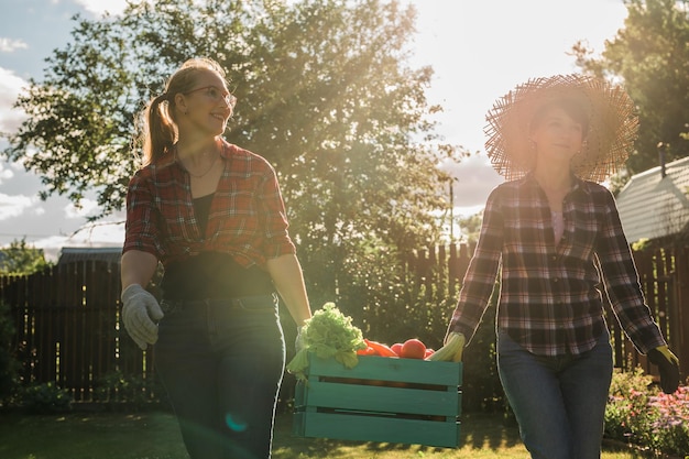 Due donne contadine che lavorano nel giardinaggio giardiniere che trasporta cassa con verdure appena raccolte in g